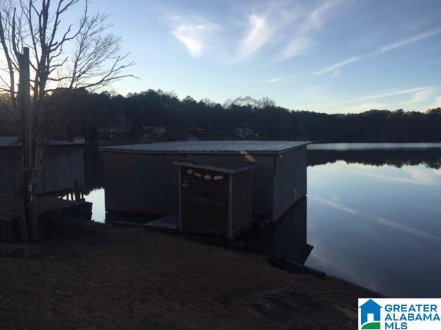 984 Mallard Cove Road Rockford, AL 35136 - Photo 21 of 23