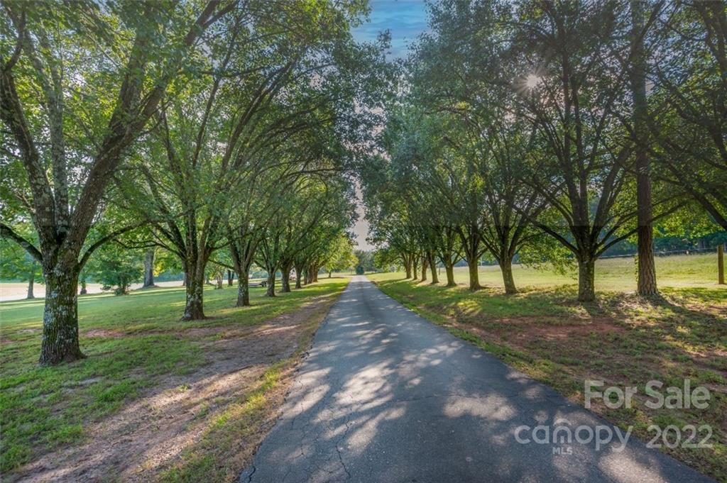 161 Walker Road Mill Spring, NC 28756 - Photo 4 of 47