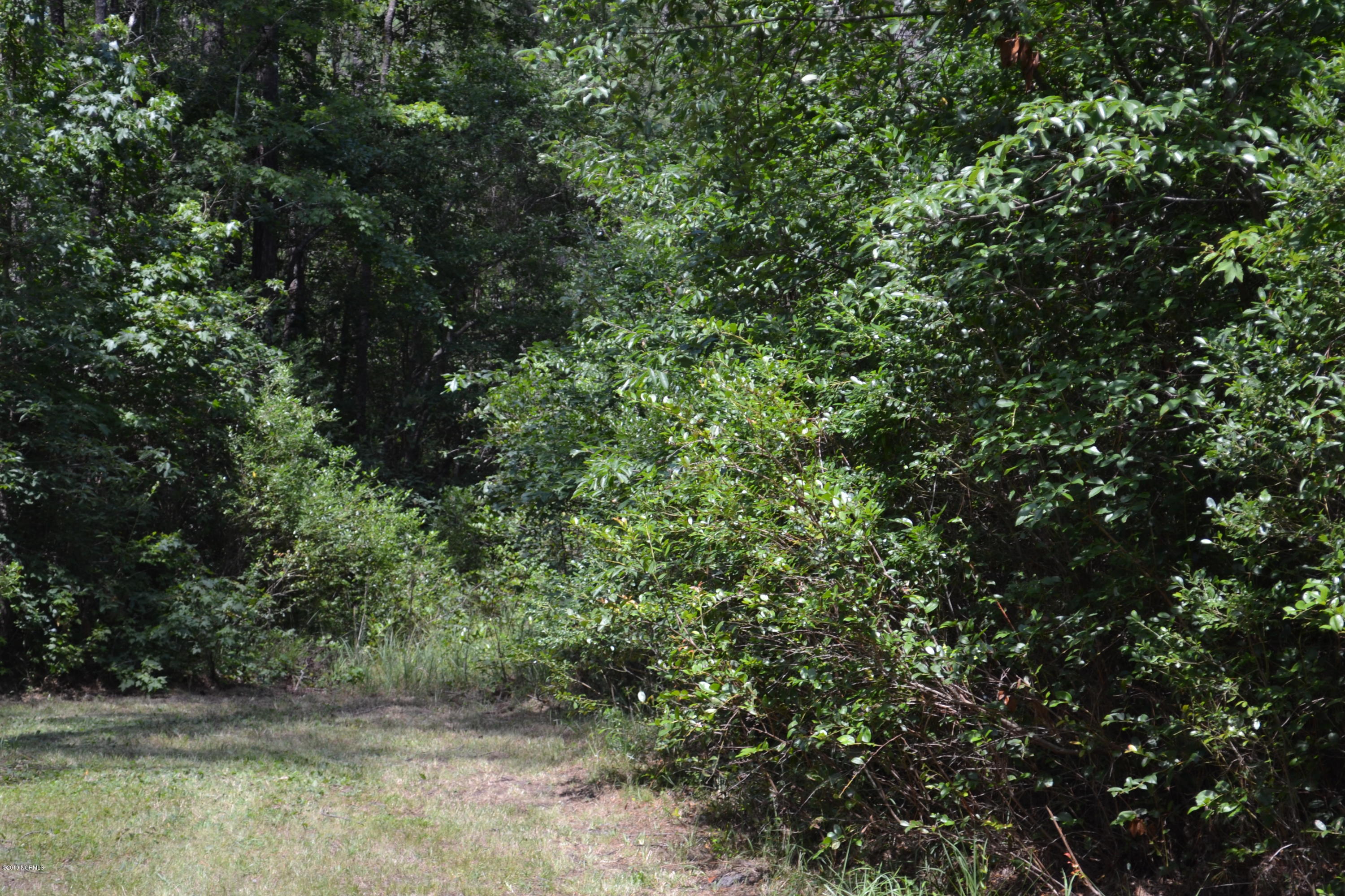 0 Holly Ridge Road Holly Ridge, NC 28445 - Photo 3 of 4 DSC_0261