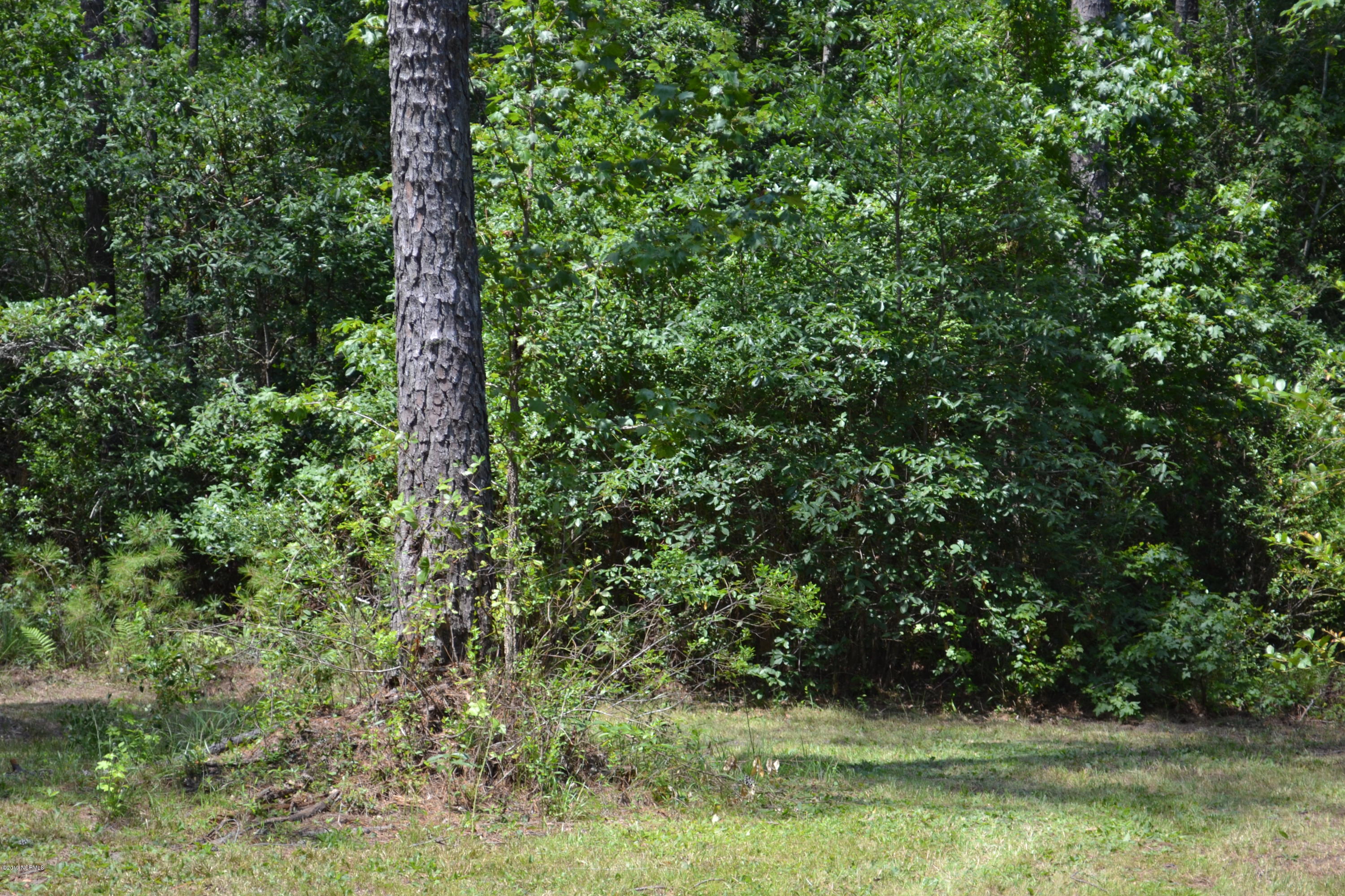 0 Holly Ridge Road Holly Ridge, NC 28445 - Photo 4 of 4 DSC_0262