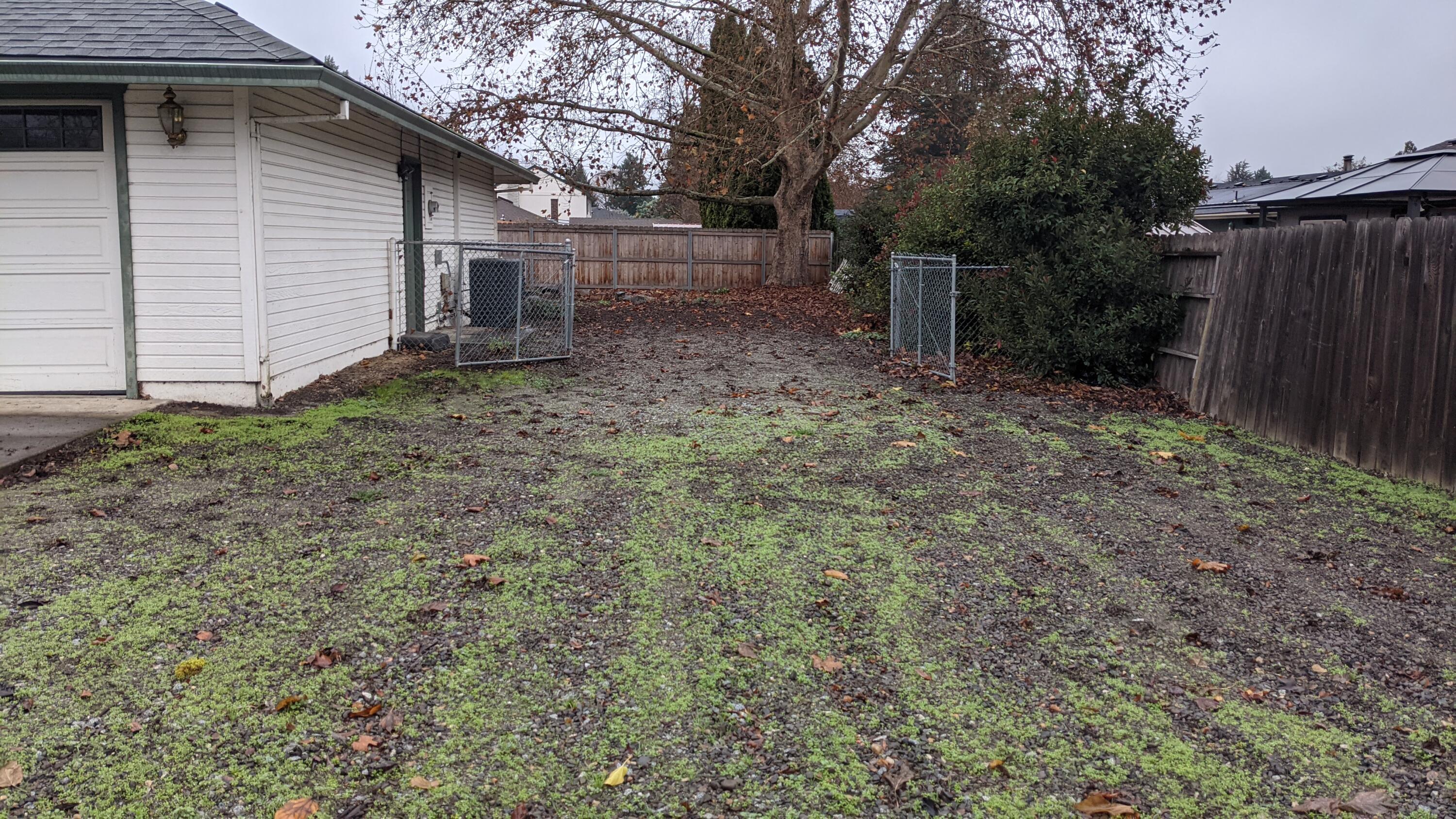 3561 Bursell Road Central Point, OR 97502 - Photo 12 of 13 Long and wide RV parking