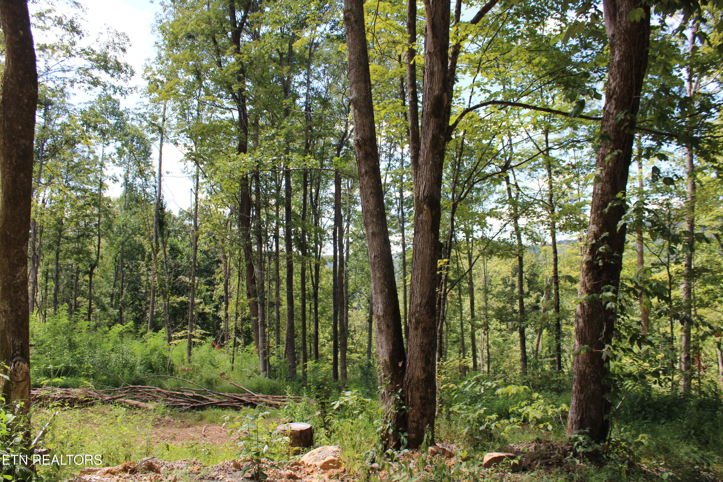Manson Road Jamestown, TN 38556 - Photo 13 of 20 IMG_2056