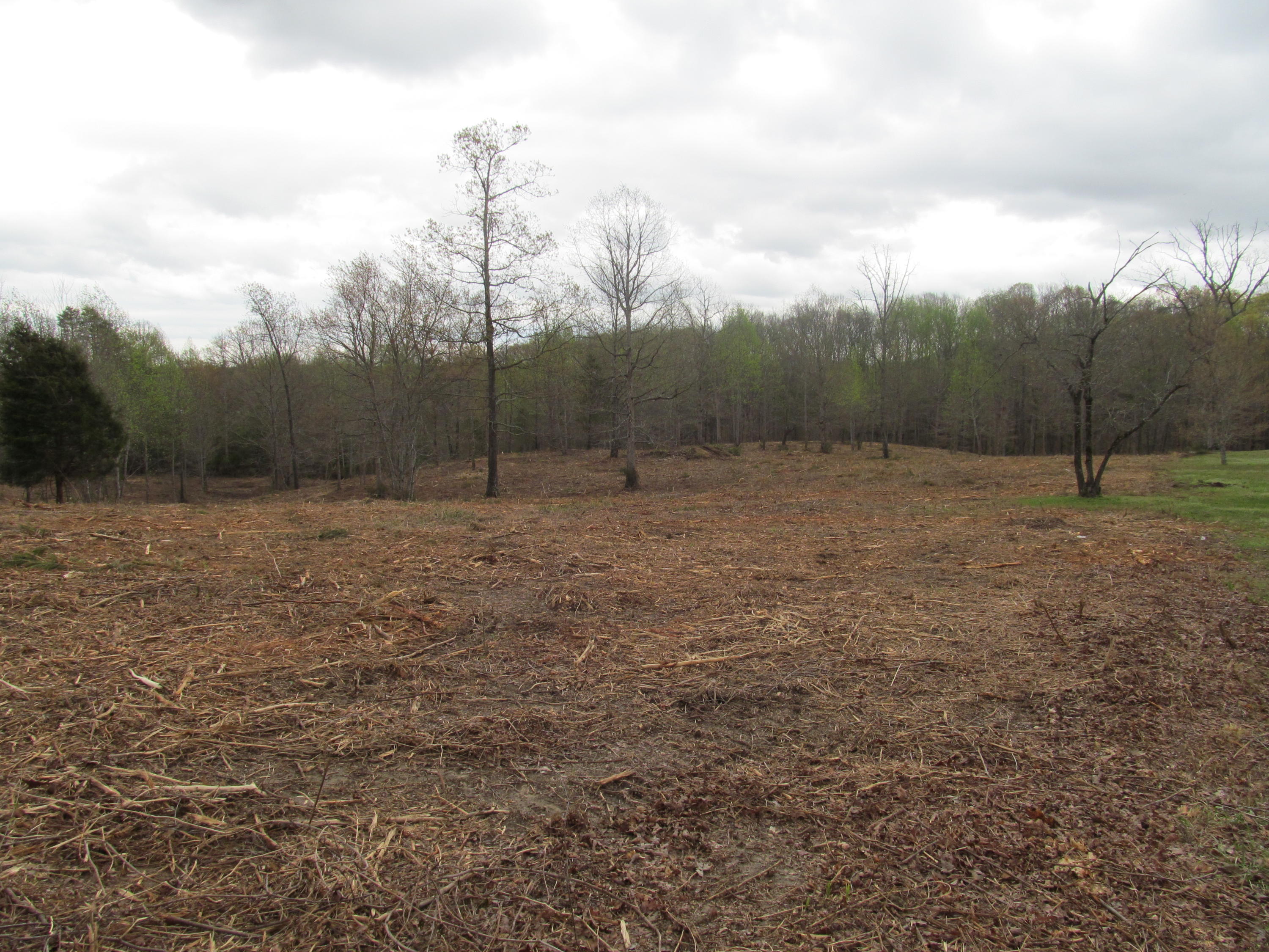 20-ac Bettis Road Georgetown, TN 37336 - Photo 1 of 5 026