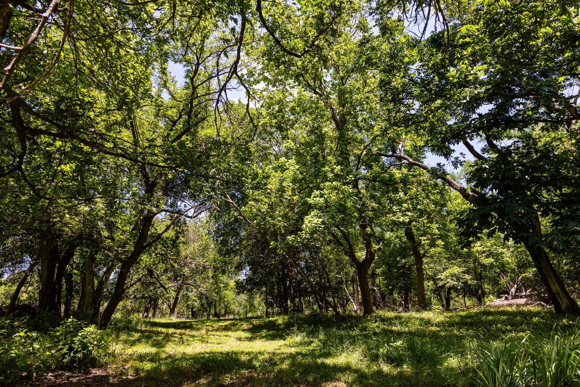 951 Cypress Creek Road Kerrville, TX 78028 - Photo 11 of 30 a view of swimming pool