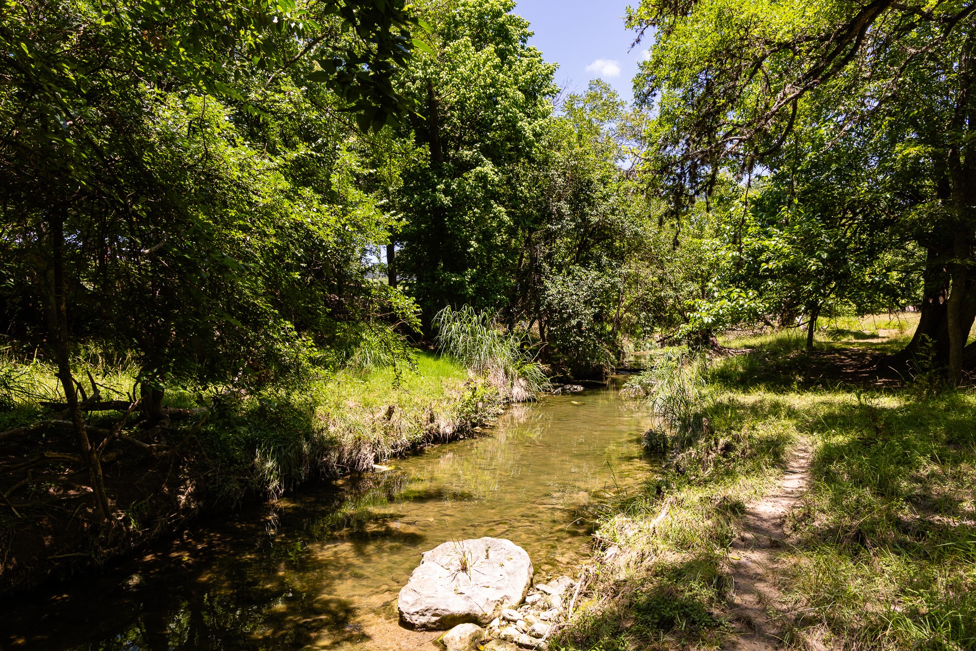 951 Cypress Creek Road Kerrville, TX 78028 - Photo 2 of 30 a view of a lake with a tree