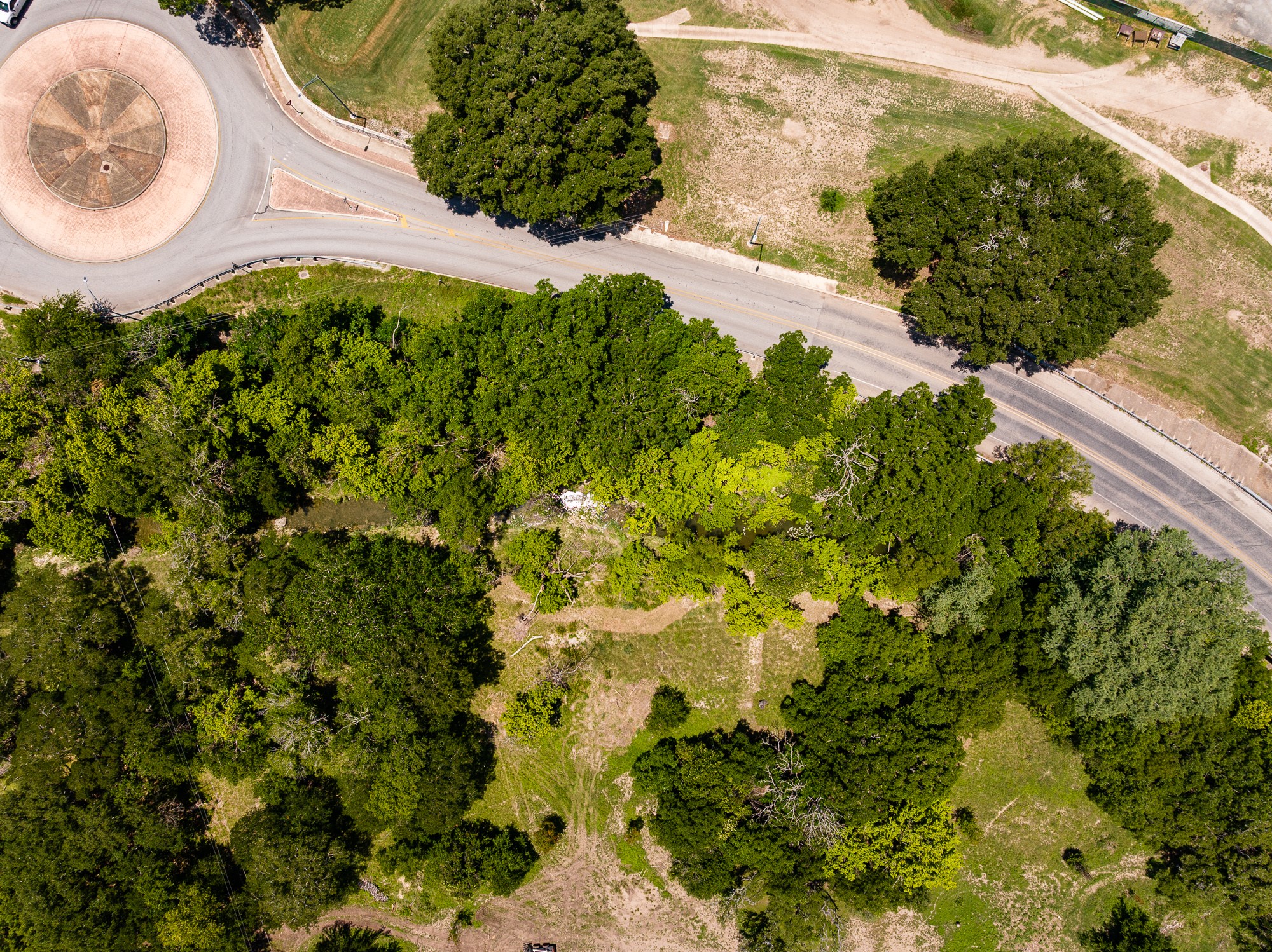 951 Cypress Creek Road Kerrville, TX 78028 - Photo 23 of 30 a close up of a plant in a garden