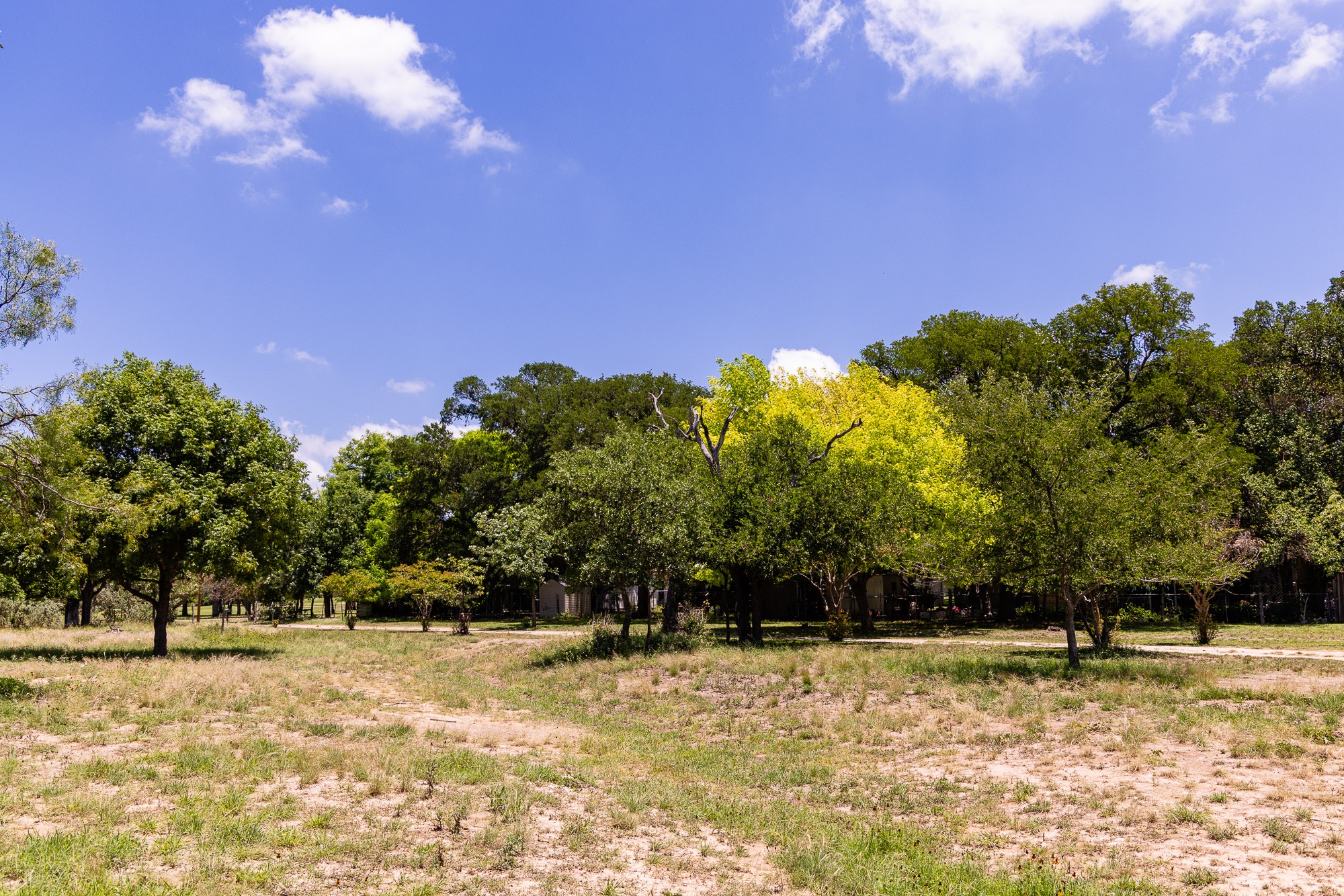 951 Cypress Creek Road Kerrville, TX 78028 - Photo 24 of 30 a view of a yard with trees