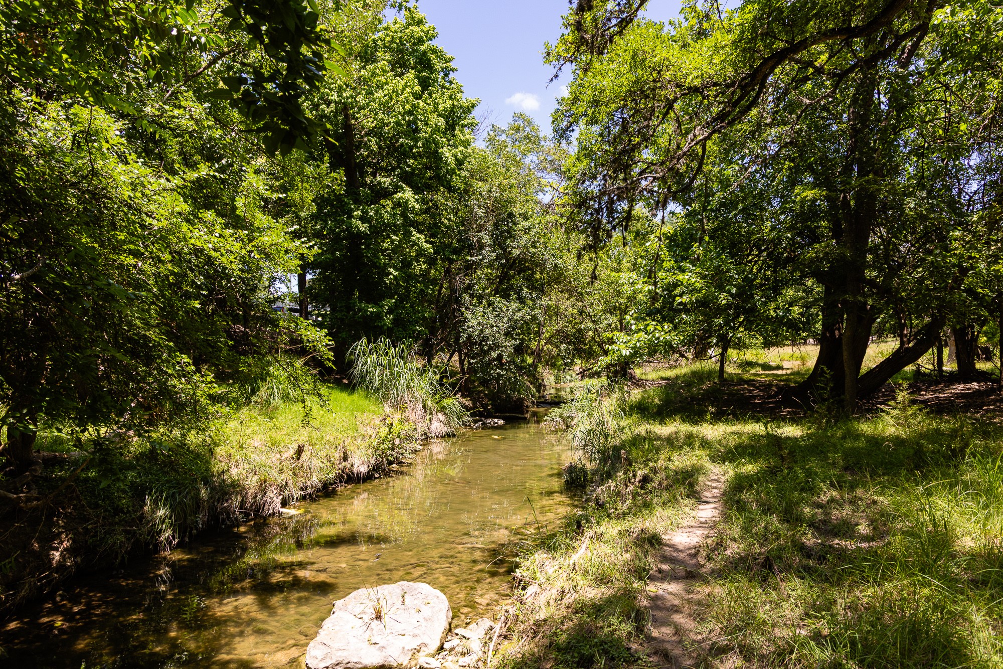 951 Cypress Creek Road Kerrville, TX 78028 - Photo 25 of 30 a view of a tree in a yard