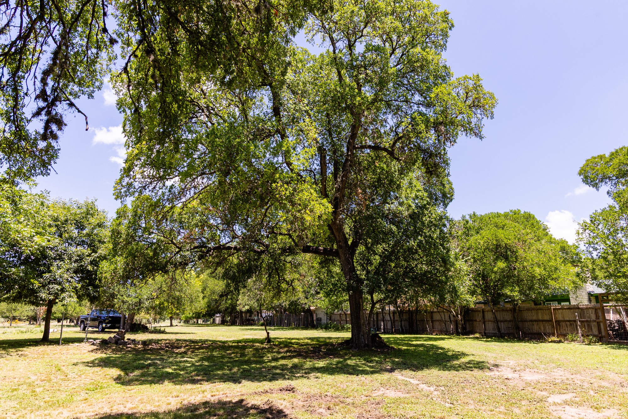 951 Cypress Creek Road Kerrville, TX 78028 - Photo 26 of 30 a view of a yard with a fountain