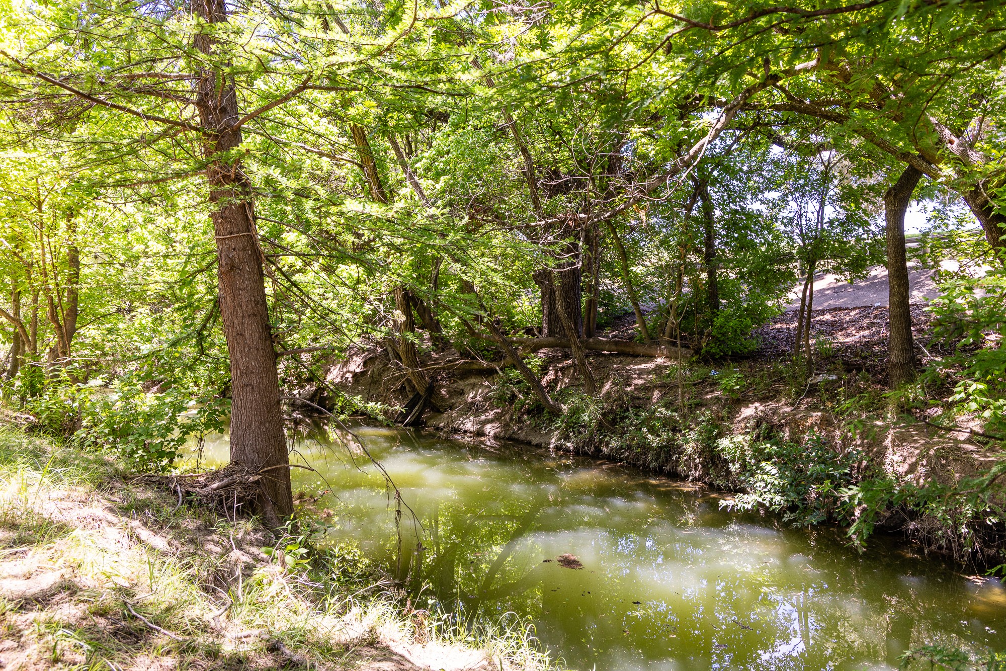 951 Cypress Creek Road Kerrville, TX 78028 - Photo 3 of 30 a view of lake