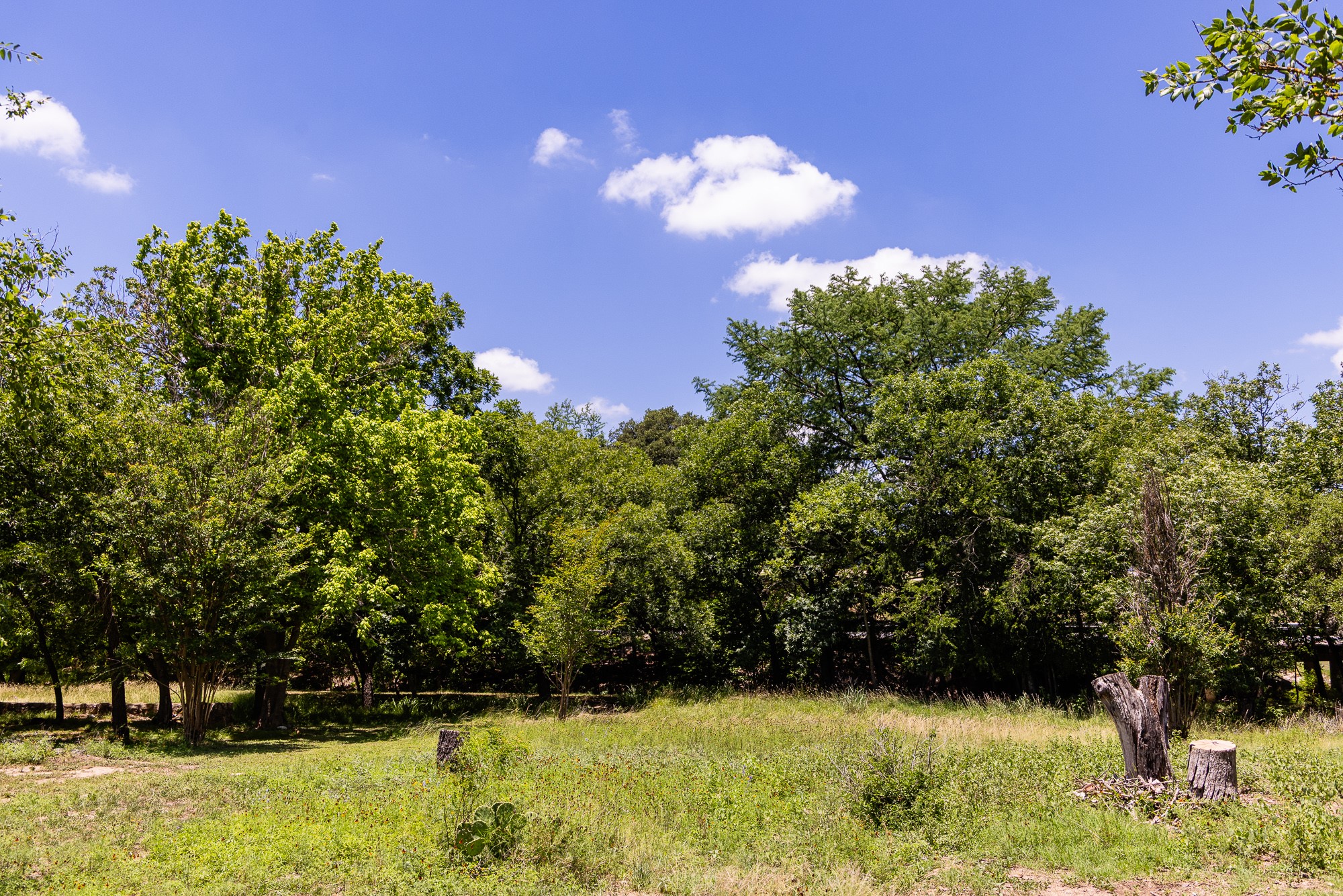 951 Cypress Creek Road Kerrville, TX 78028 - Photo 4 of 30 a view of swimming pool from a yard