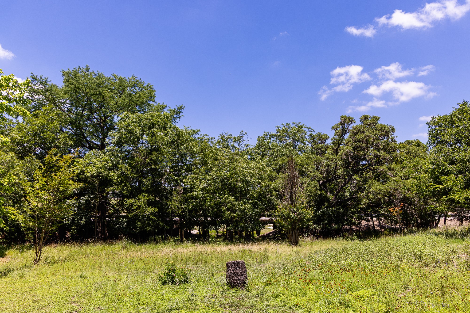 951 Cypress Creek Road Kerrville, TX 78028 - Photo 5 of 30 a view of a garden