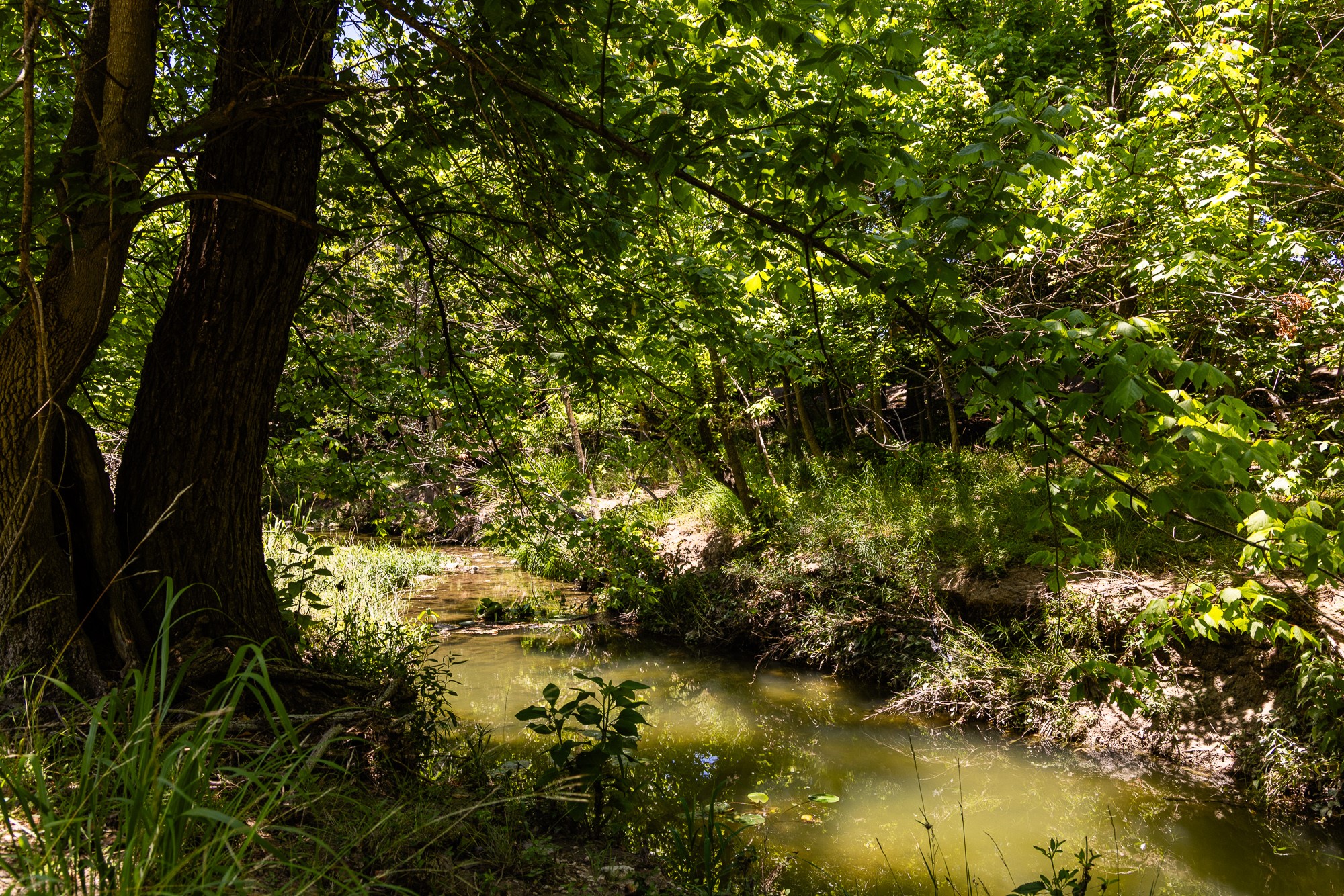 951 Cypress Creek Road Kerrville, TX 78028 - Photo 6 of 30