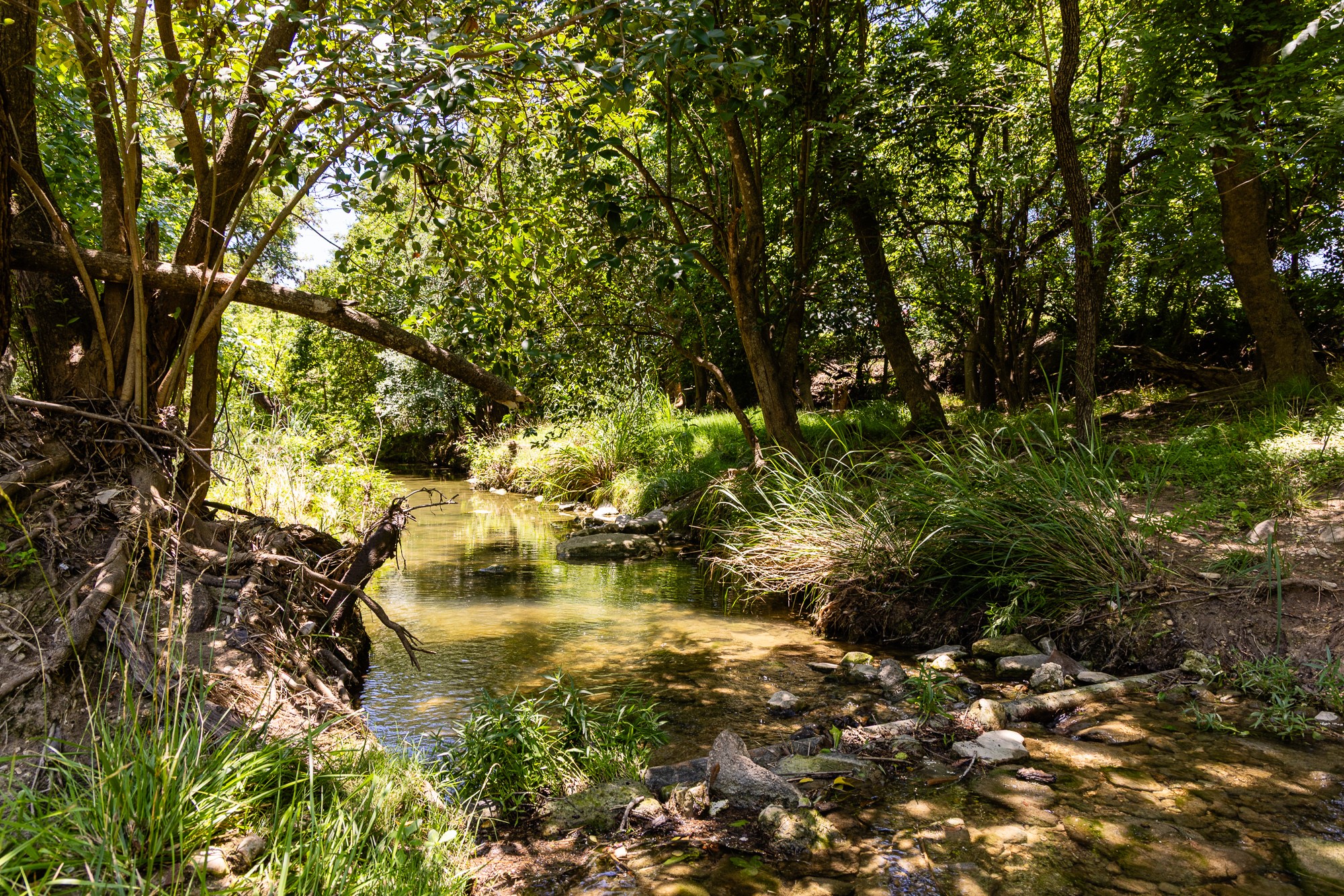 951 Cypress Creek Road Kerrville, TX 78028 - Photo 7 of 30 a view of yard with green space