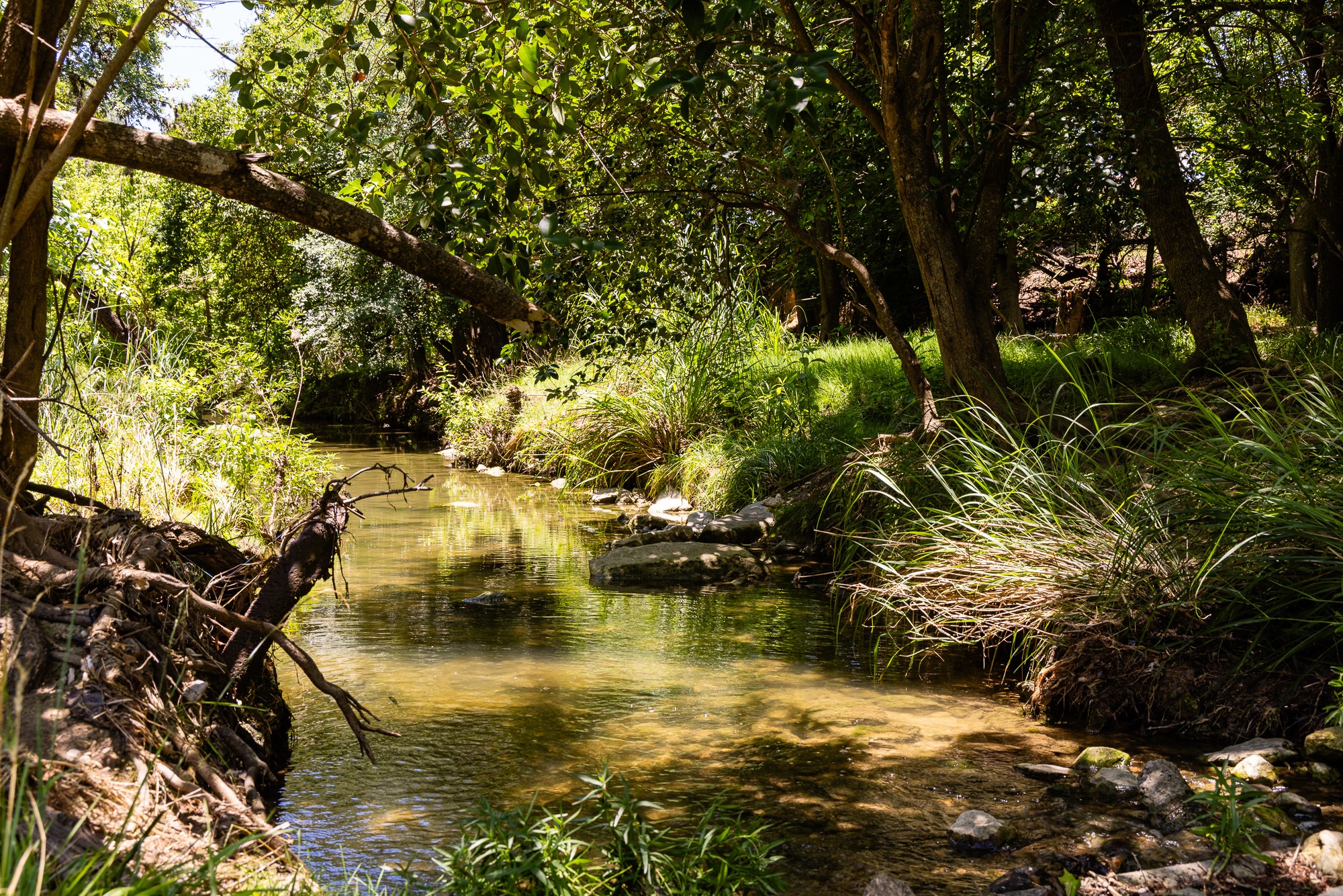 951 Cypress Creek Road Kerrville, TX 78028 - Photo 9 of 30 a view of lake