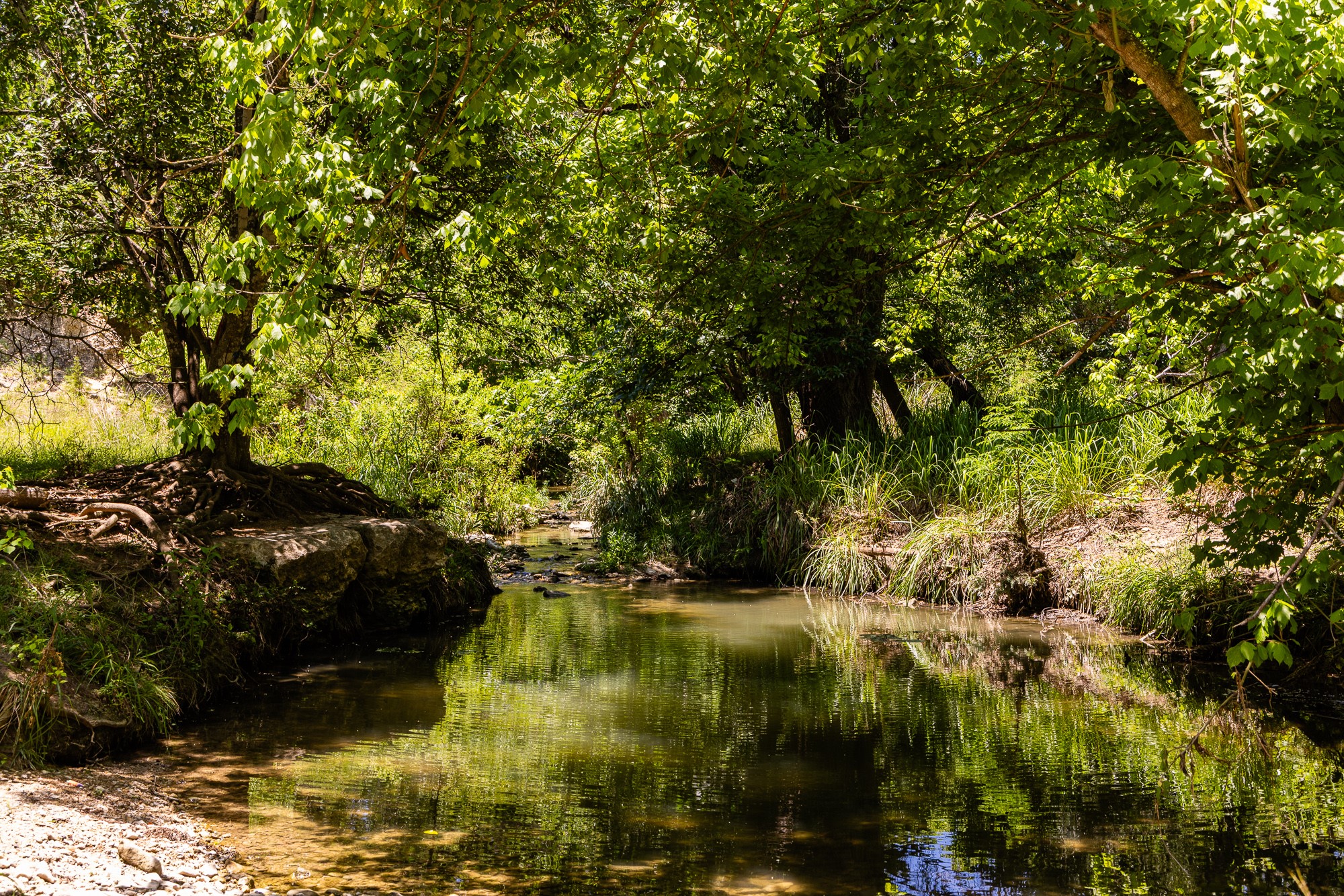 951 Cypress Creek Road Kerrville, TX 78028 - Photo 10 of 30