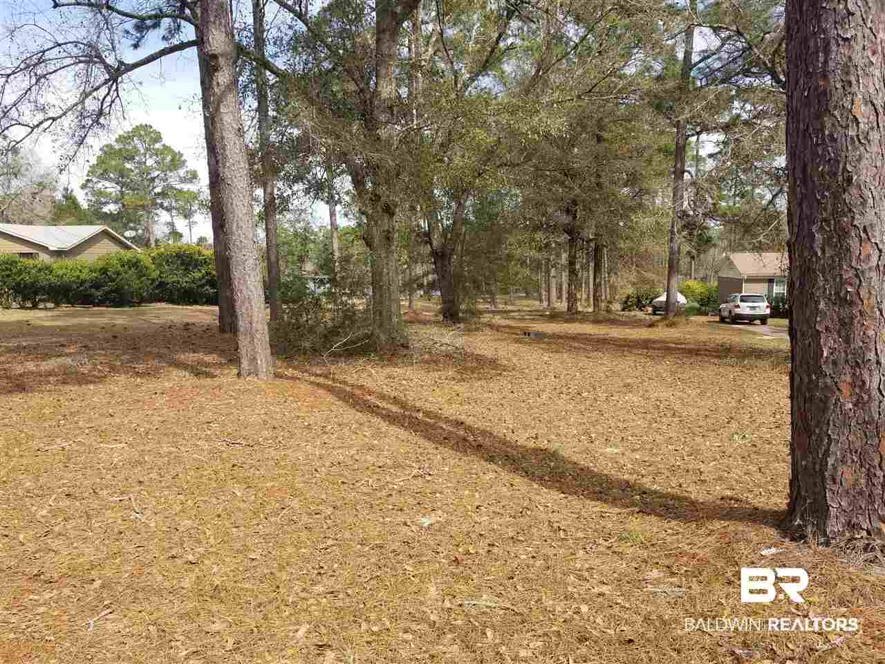 Lot 60 Clarke Ridge Road Foley, AL 36535 - Photo 11 of 12