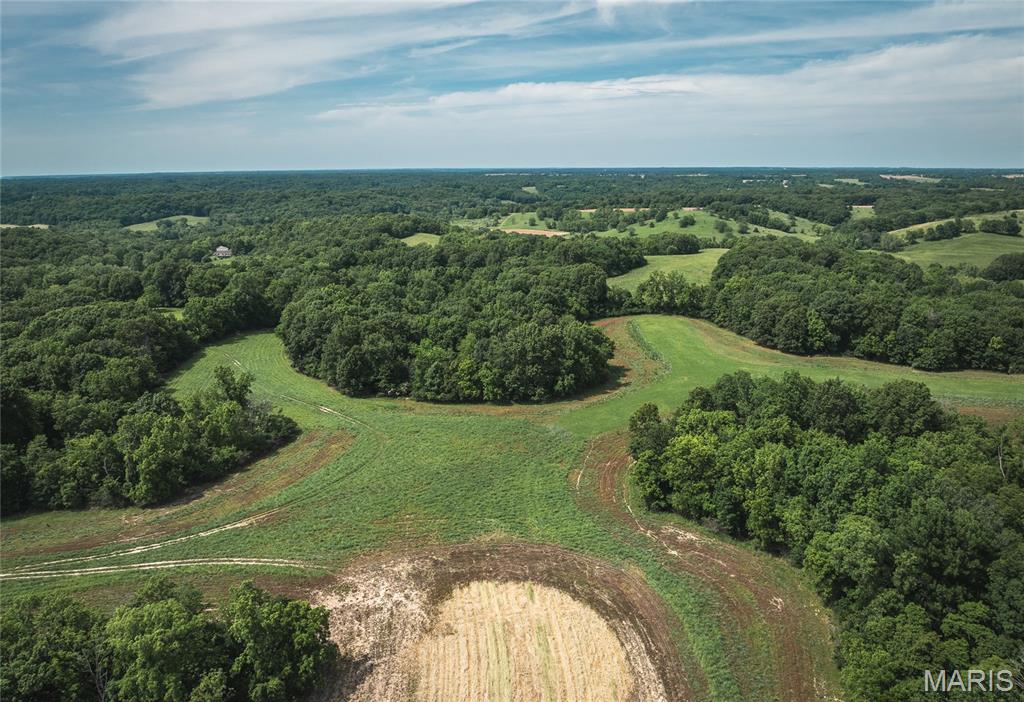 1757 Infidel Hollow Road Mozier, IL 62070 - Photo 21 of 52