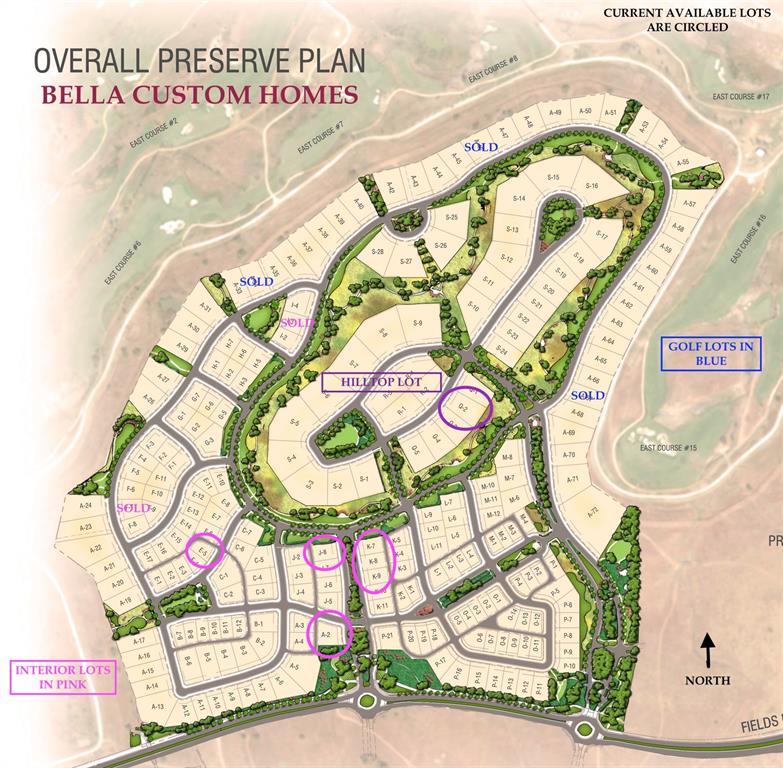 409 Edmonds Street Frisco, TX 75033 - Photo 4 of 9