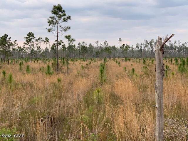 0 Big Mac Road Clarksville, FL 32430 - Photo 16 of 21 Gallery Image 16