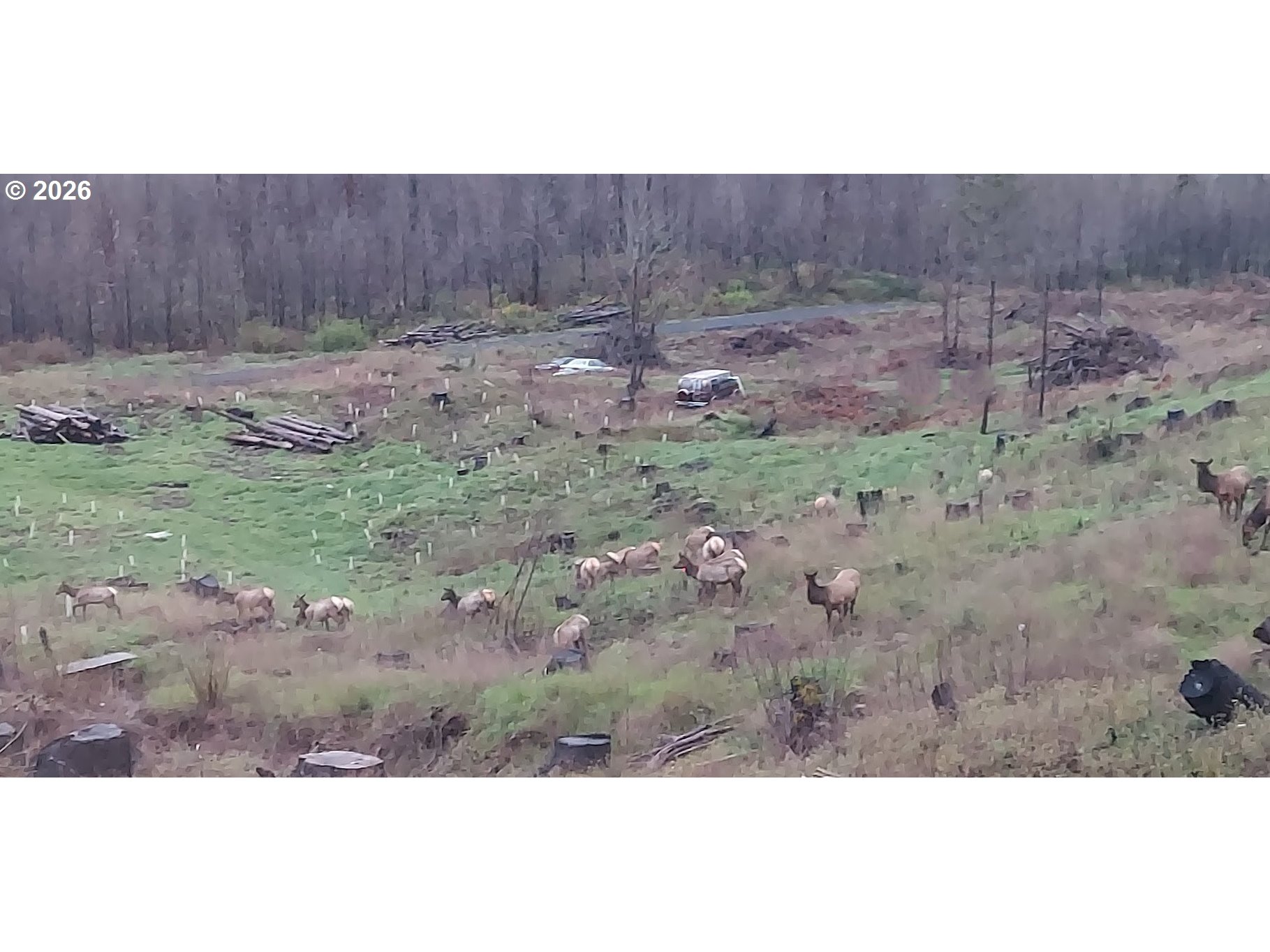 10855 Kubin Road Southeast Lyons, OR 97358 - Photo 18 of 47