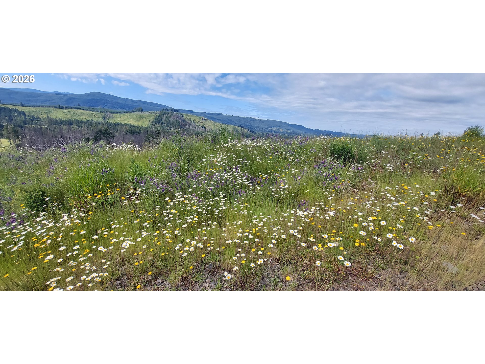 10855 Kubin Road Southeast Lyons, OR 97358 - Photo 8 of 47