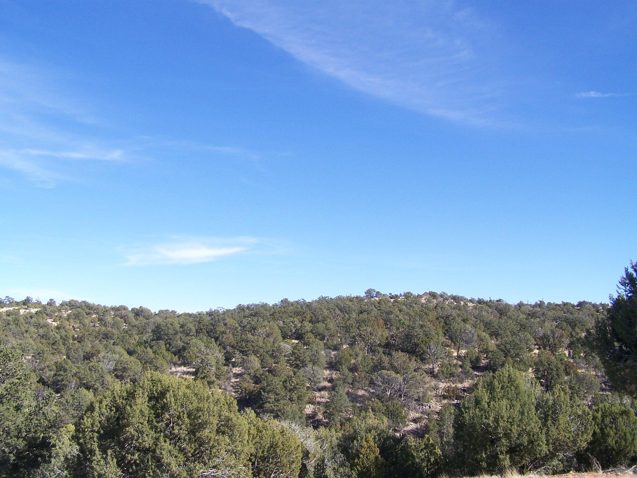 50895 North Lightning Ridge Road Seligman, AZ 86337 - Photo 18 of 29 100_5037