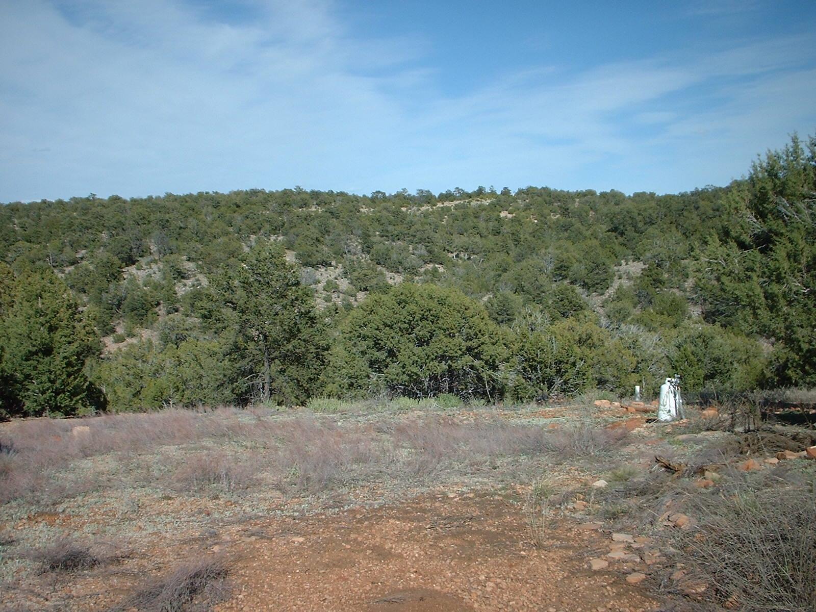 50895 North Lightning Ridge Road Seligman, AZ 86337 - Photo 23 of 29 DSCF0078