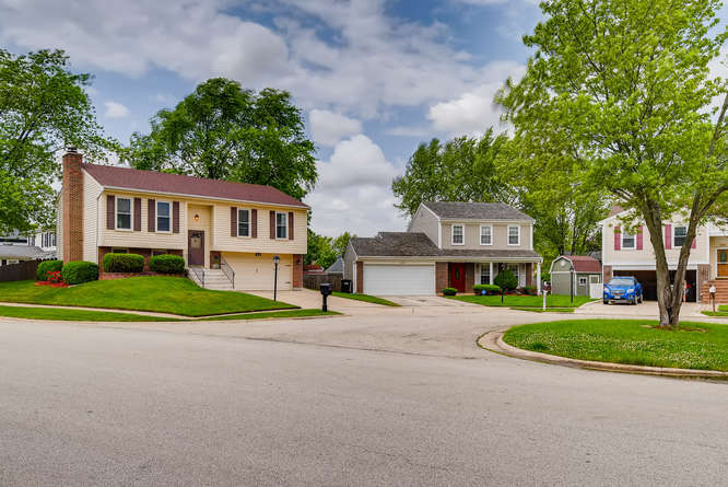 675 Rodenburg Road Roselle, IL 60172 - Photo 2 of 20