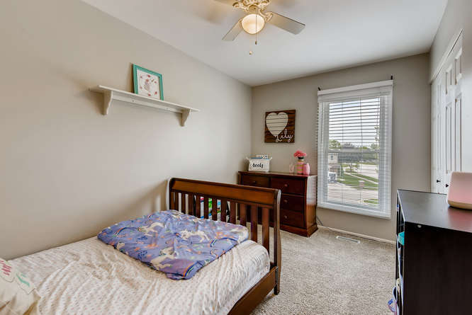675 Rodenburg Road Roselle, IL 60172 - Photo 14 of 20