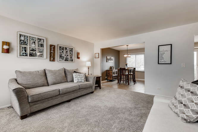675 Rodenburg Road Roselle, IL 60172 - Photo 5 of 20