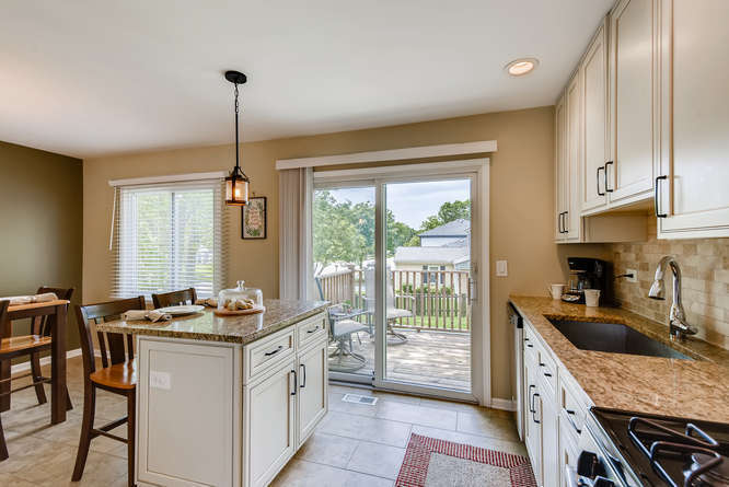 675 Rodenburg Road Roselle, IL 60172 - Photo 7 of 20