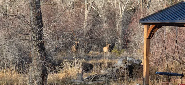 $3,800,000 | 1277 Cr 501 Bayfield Co 81122, Bayfield, CO 81122