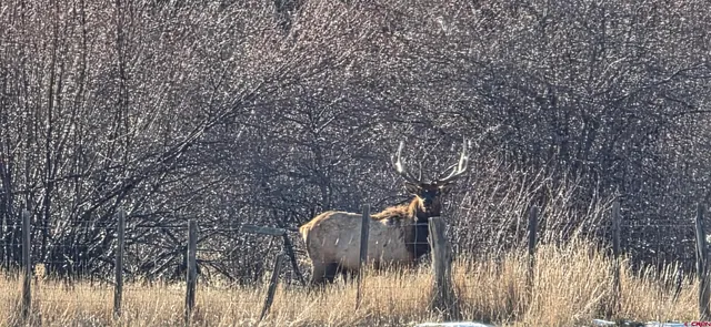 $3,800,000 | 1277 Cr 501 Bayfield Co 81122, Bayfield, CO 81122