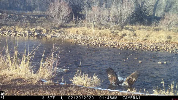 $3,800,000 | 1277 Cr 501 Bayfield Co 81122, Bayfield, CO 81122
