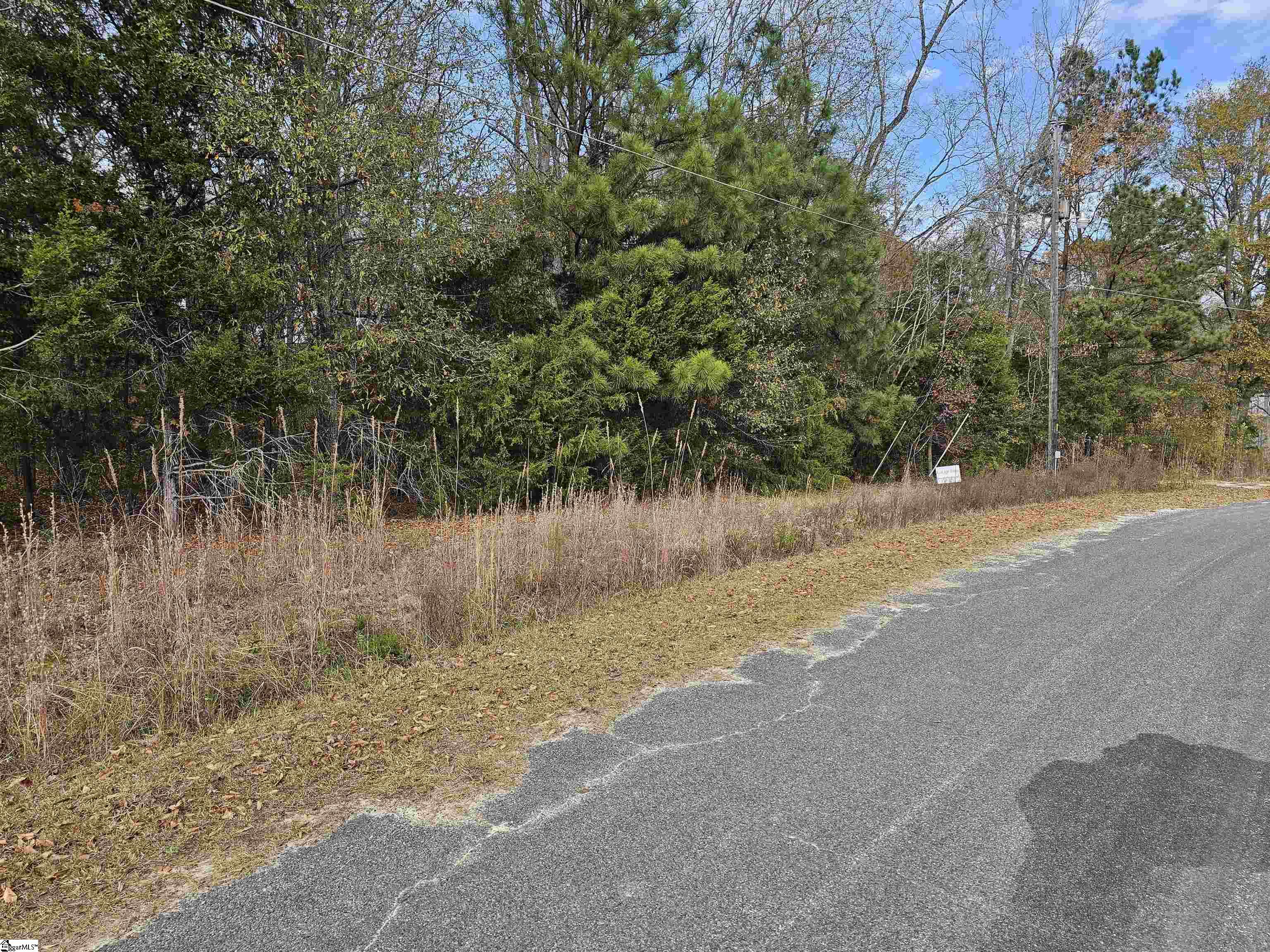 91 Rest Road Waterloo, SC 29384 - Photo 6 of 11