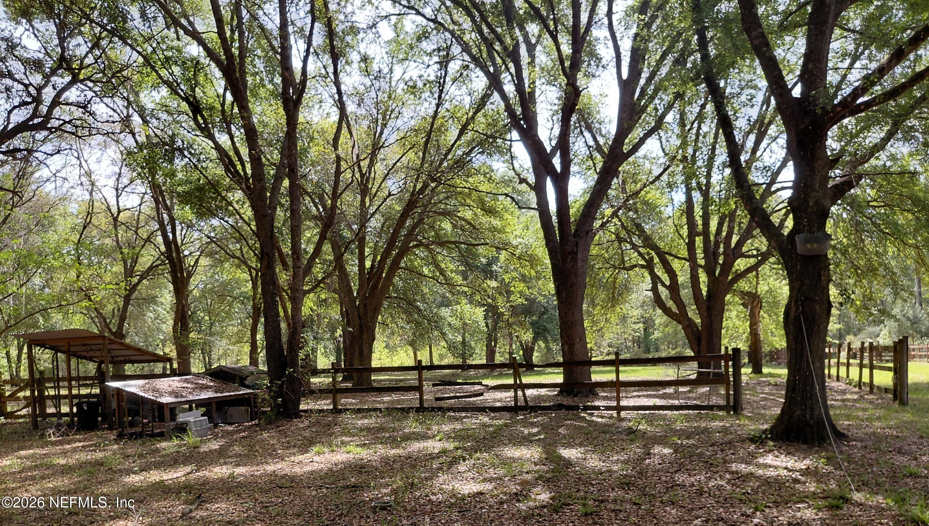 5824 Jones Creek Road Keystone Heights, FL 32656 - Photo 16 of 20 Yard