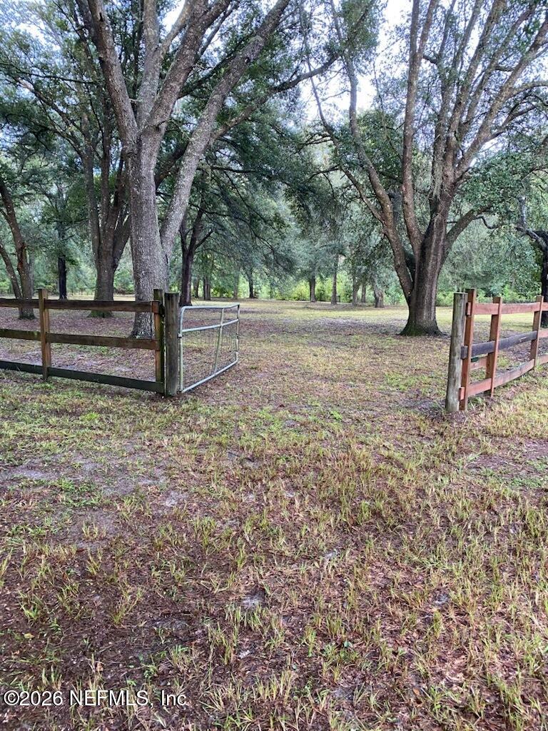 5824 Jones Creek Road Keystone Heights, FL 32656 - Photo 19 of 20 Yard