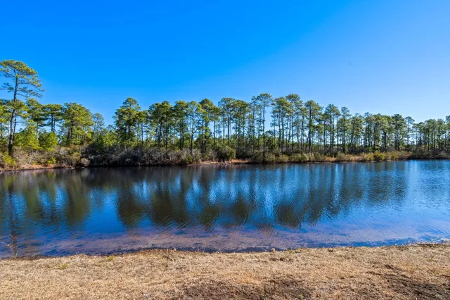 $330,000 | 877 Wild Leaf Loop, Conway, SC 29526