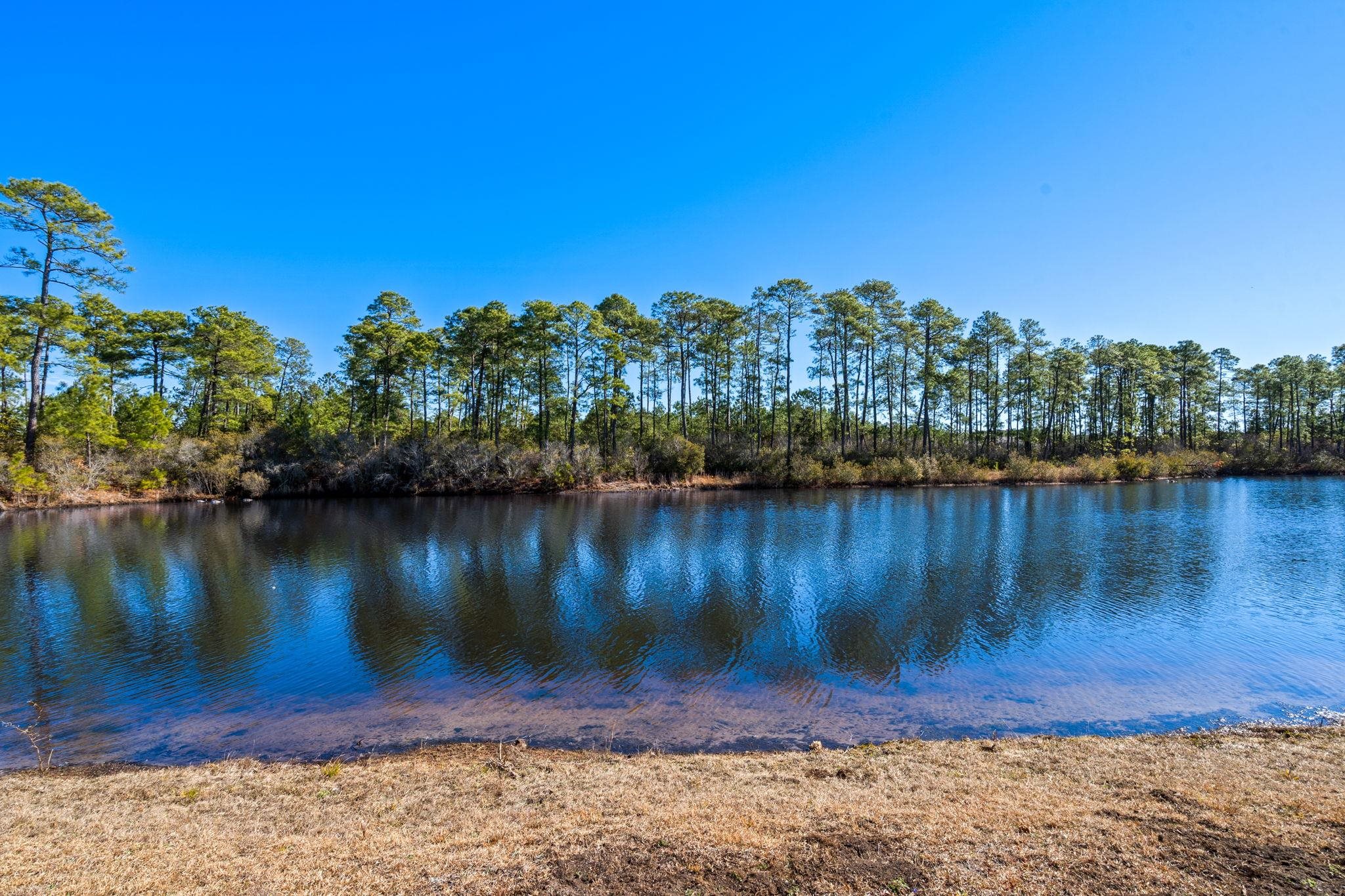 877 Wild Leaf Loop Conway, SC 29526 - Photo 31 of 42