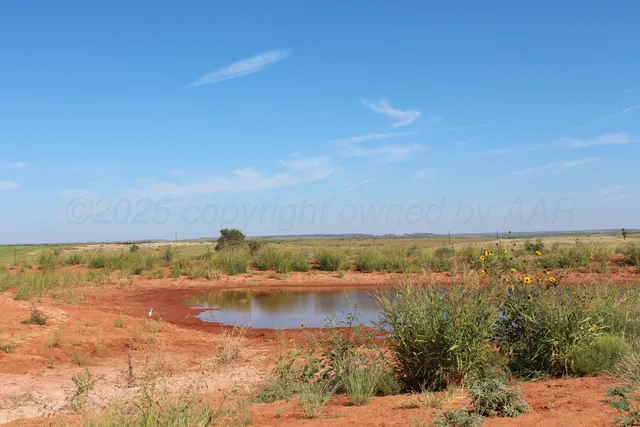 a view of an ocean beach