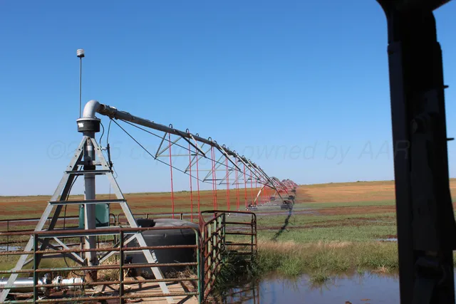 a view of a field of grass and trees