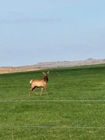 $1,300,800 | 325-acres Childress, Childress, TX 79201