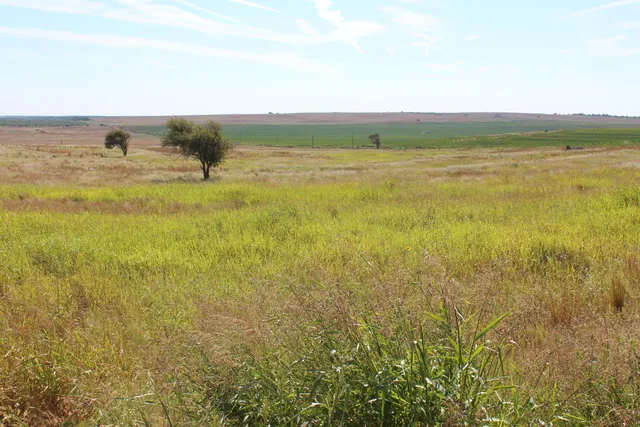 a view of dirt field with trees