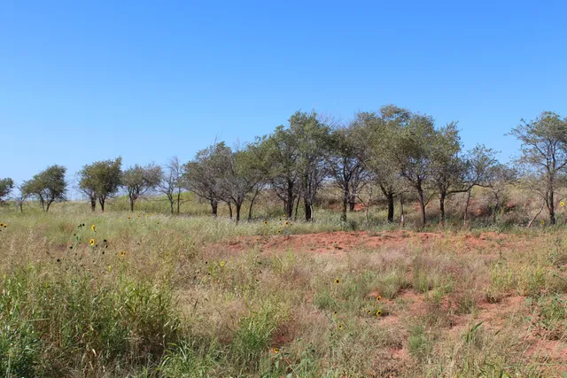 a view of beach and ocean