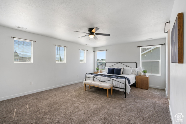 3456 South Linden Way Syracuse, UT 84075 - Photo 19 of 50 Primary bedroom with baseboards, a textured ceiling, and a ceiling fan