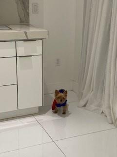 3071 Southwest 27th Avenue, Unit 17 Miami, FL 33133 - Photo 9 of 10 Photo 9