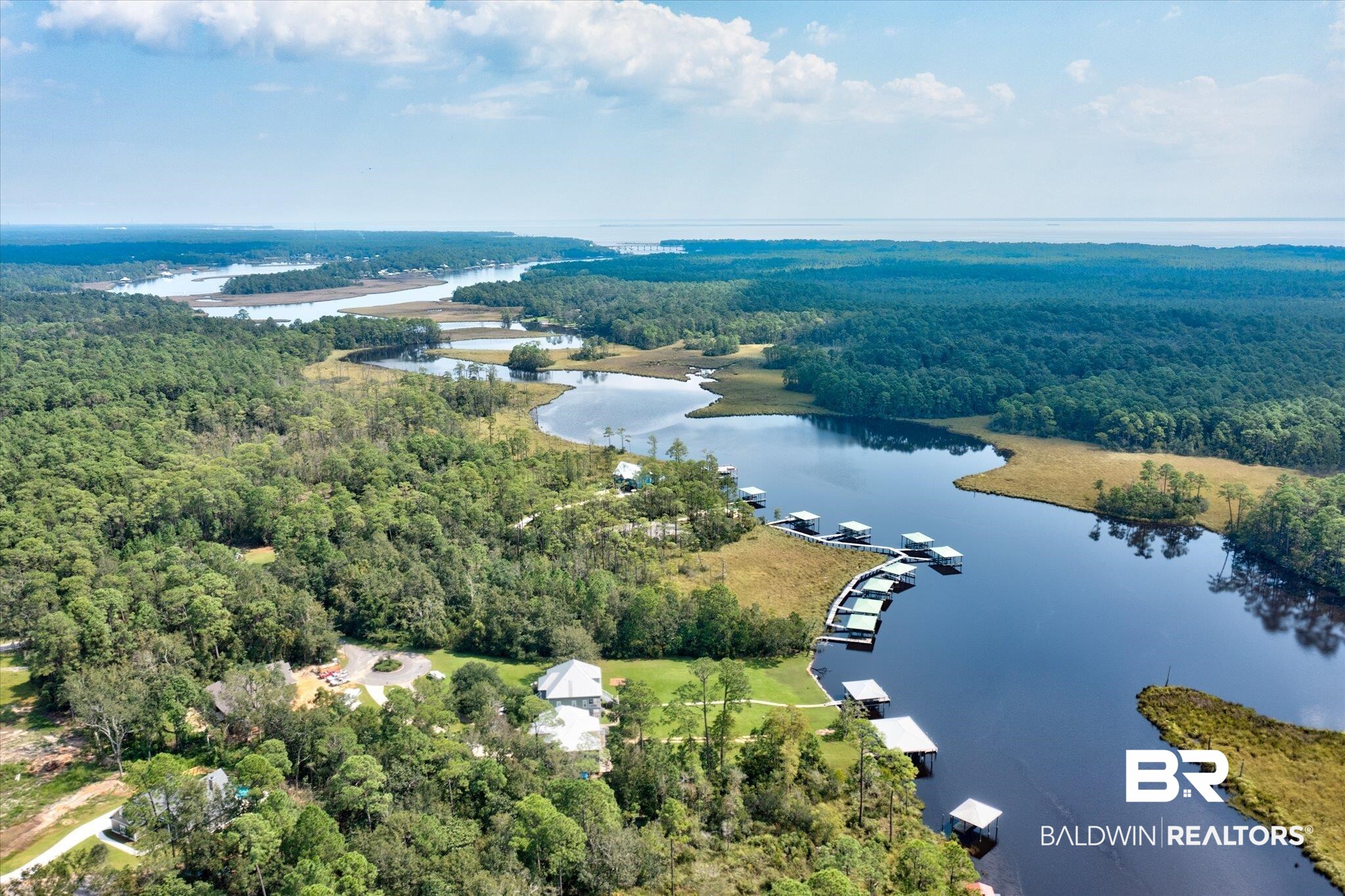 Palmetto Point Theodore, AL 36582 - Photo 6 of 16