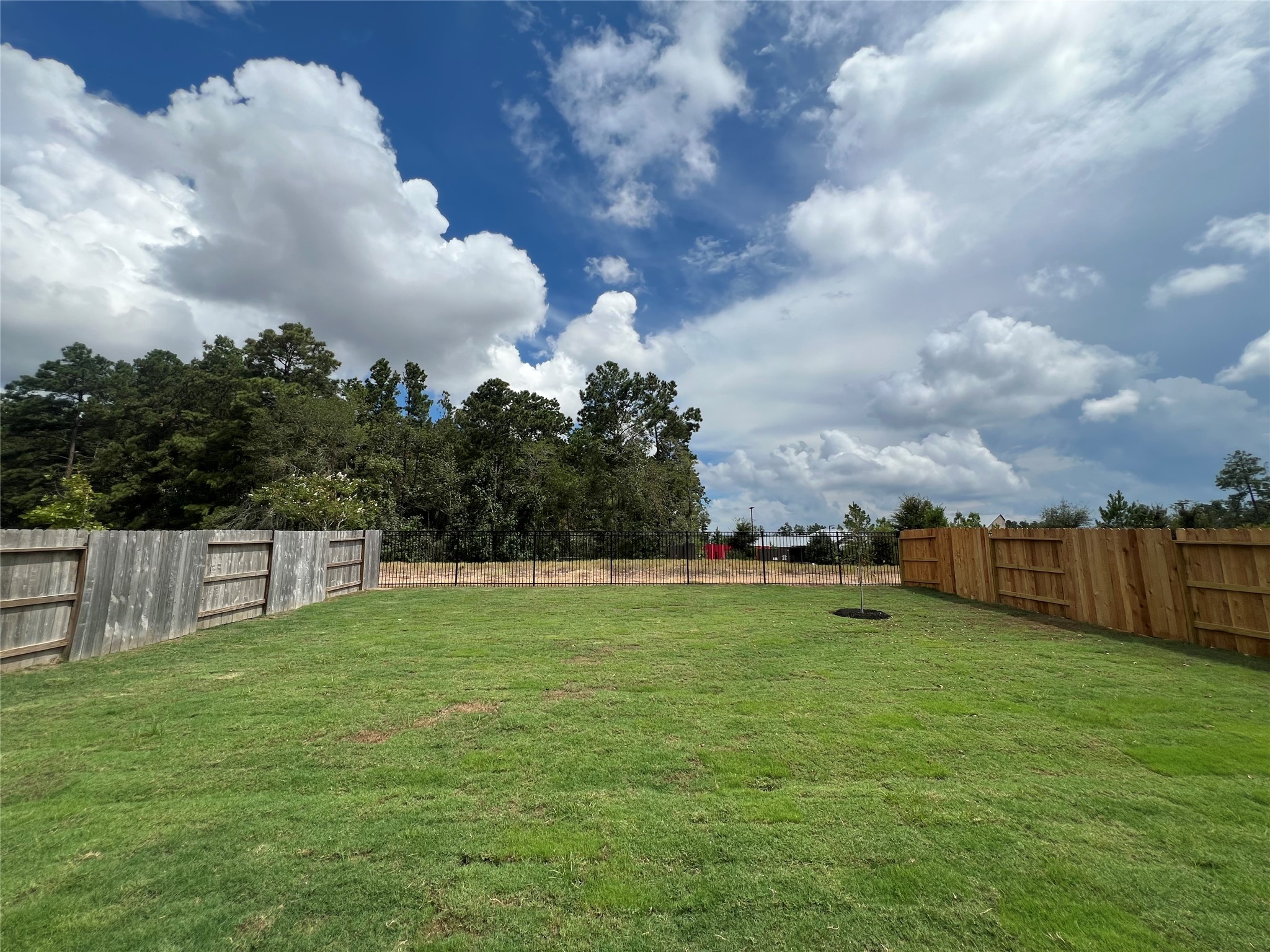 17771 Misty Brk Lane Conroe, TX 77302 - Photo 40 of 48 a view of a golf course with a lake