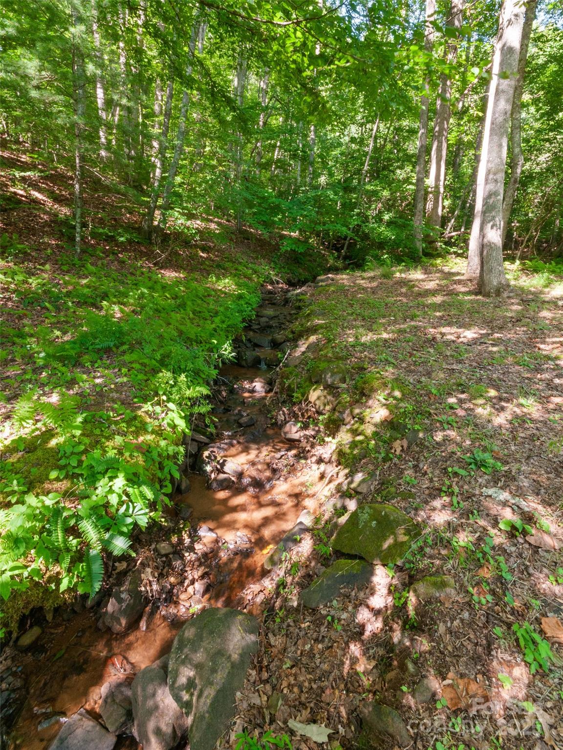 250 Turkey Pen Road Franklin, NC 28734 - Photo 26 of 30 a backyard of a house with lots of green space